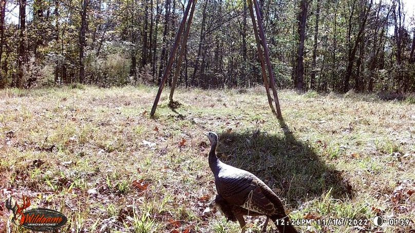 Tallahatchie 847 Trail Cam (JPG)-07