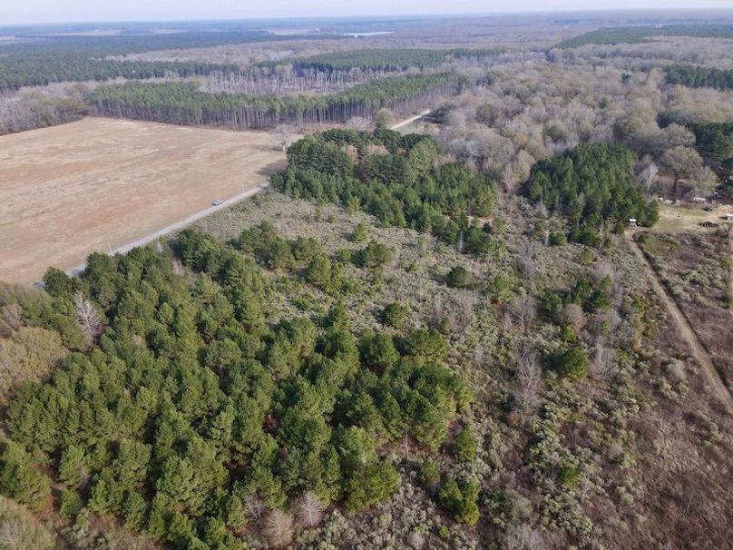 dji_fly_20251205_124918_922_1765034352800_photo