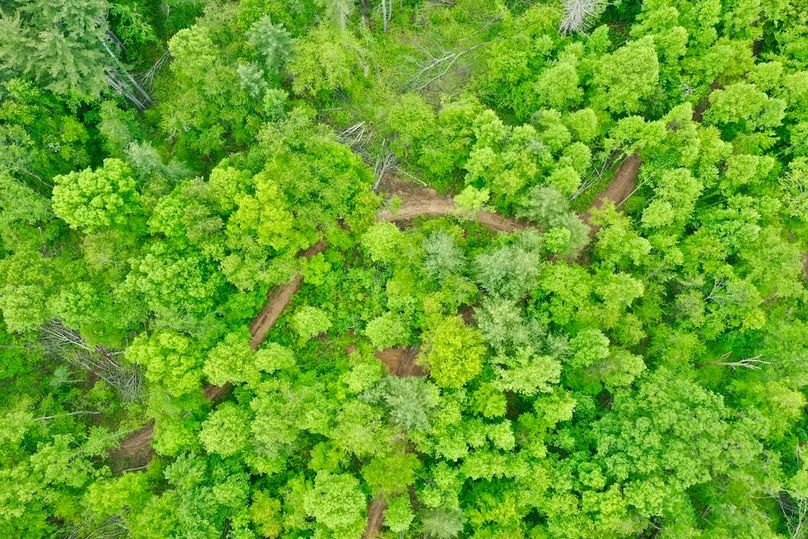 DJI_0722