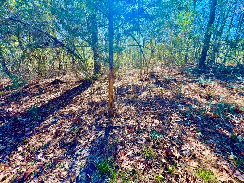 BA0BB0C1-C0F0-4FD9-B119-A026179D7124_1_201_a