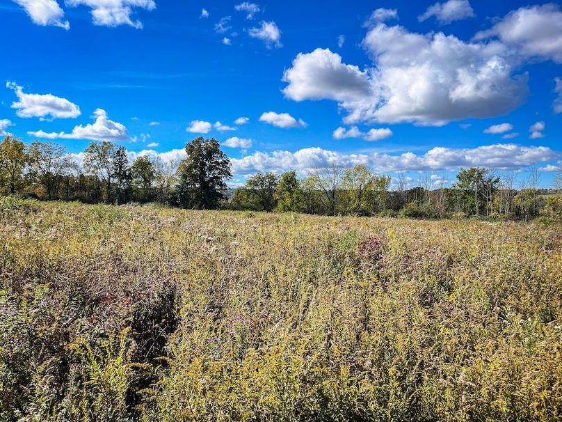 Tompkins_30.32_Hildreth_Estate_Phoros_42