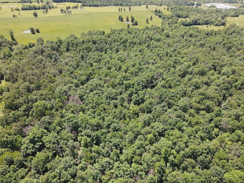 dji_fly_20260507_122246_738_1778174575268_photo