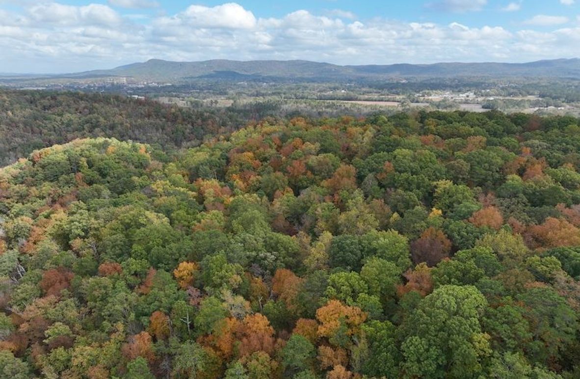 dji_fly_20241105_114434_803_1731521681790_photo