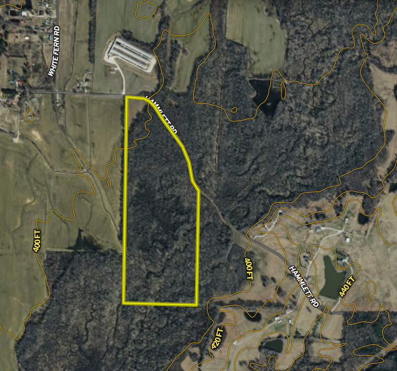 Screenshot 2026-03-25 at 11.01.29 AM