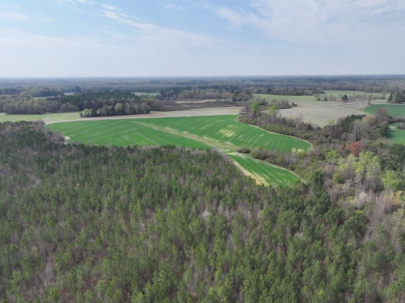 DJI_20260303064003_0560_D