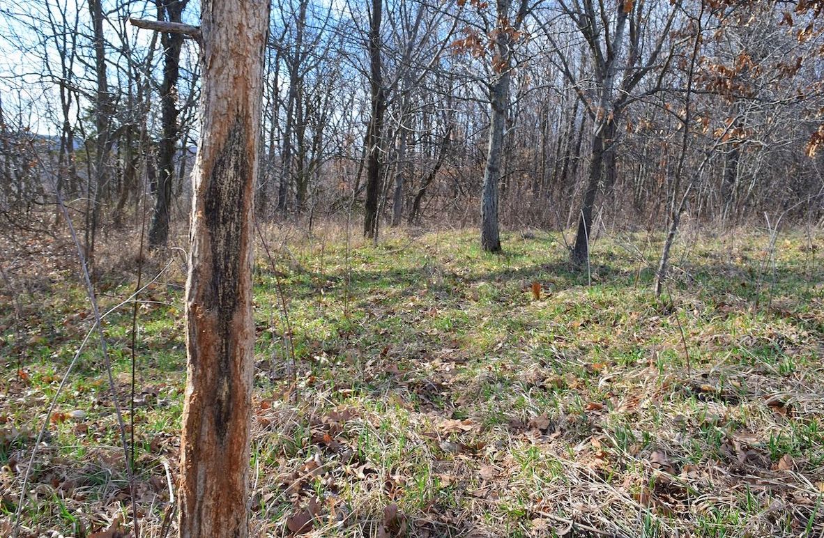 DSC_0329_inPixio (2)