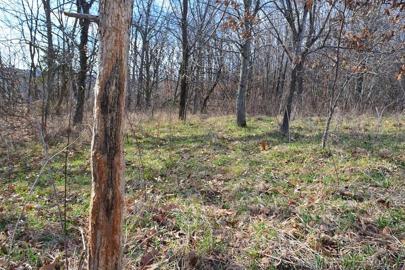 DSC_0329_inPixio (2)