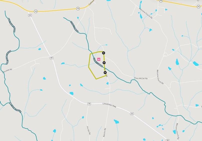 Elbert county 93.84 acresmap2