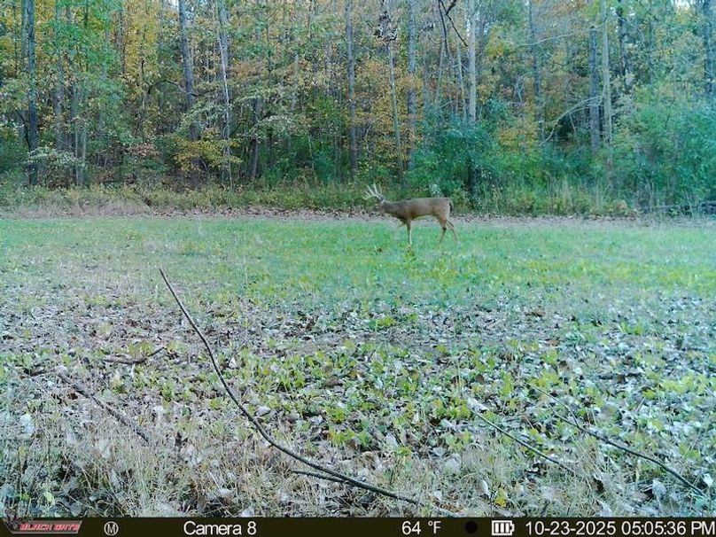 54EADDD6-D5A3-4311-BF74-F15546A1D03F