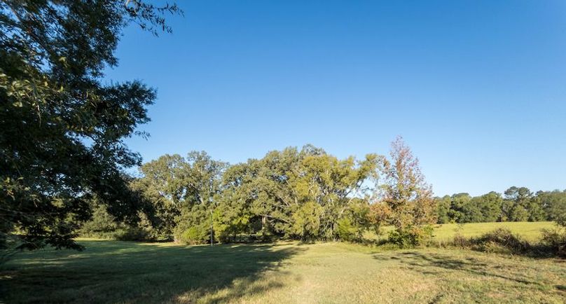 Hinds Co - 30 - Newman-16