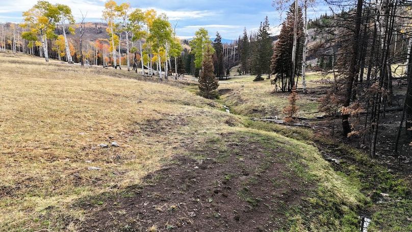 DJI_20250927082837_0036_D