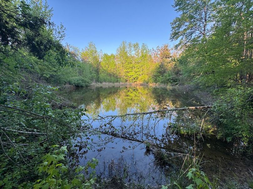 Tallahatchie 44 Newman (Crowden) Wide-48