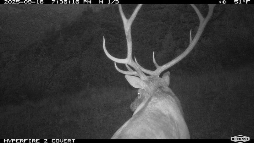 547BBD21-B72B-4CE2-889A-4E3AE1BDE02D