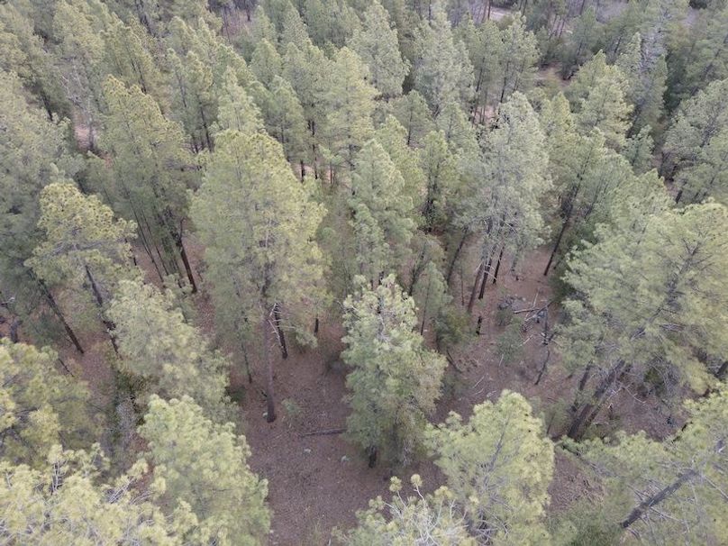 13.dji_fly_20240227_075508_390_1709045790884_photo