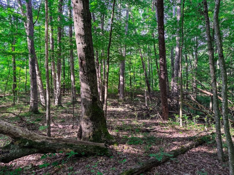 Ritchie, WV 20 AC Thompson-13