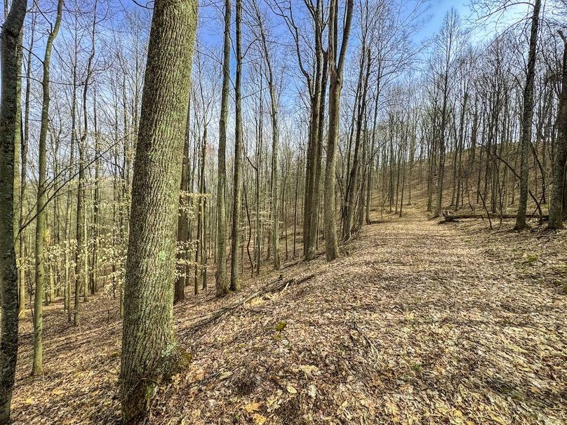 Ritchie, WV 206.08 AC Curriden-46