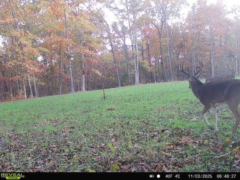 864049058895832-60-3-11032025064826-V-W1000951