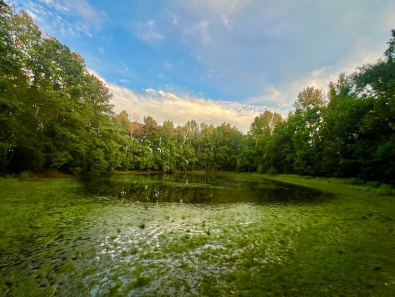 FD22F599-7EA4-40CB-A5CA-B7EAB8246C07_1_105_c