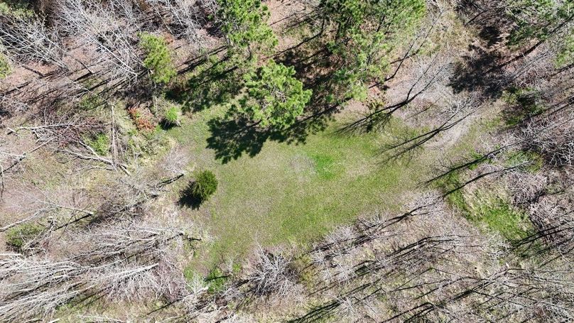 S_dji_fly_20260404_120258_0070_1775422862374_photo