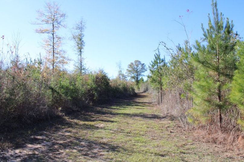 13C11668-F4DE-486A-93BC-0FE3D3ED1824