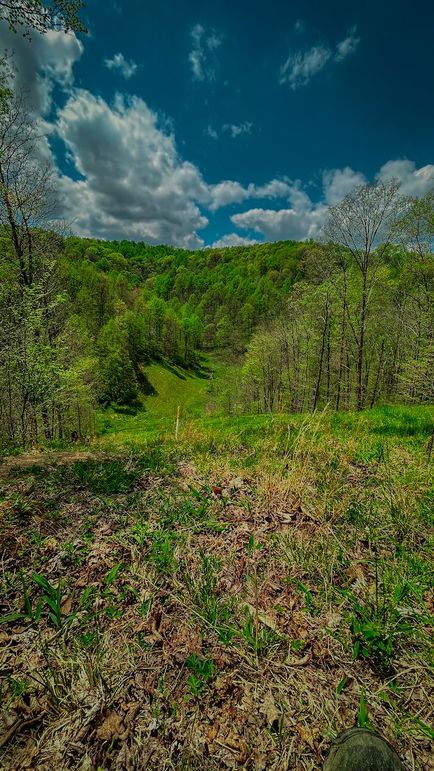 Doddridge, WV 64.69 AC Davis-06