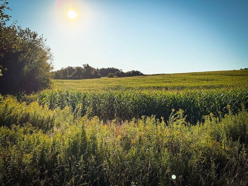 Copy of Wood Main Listing Photo 15