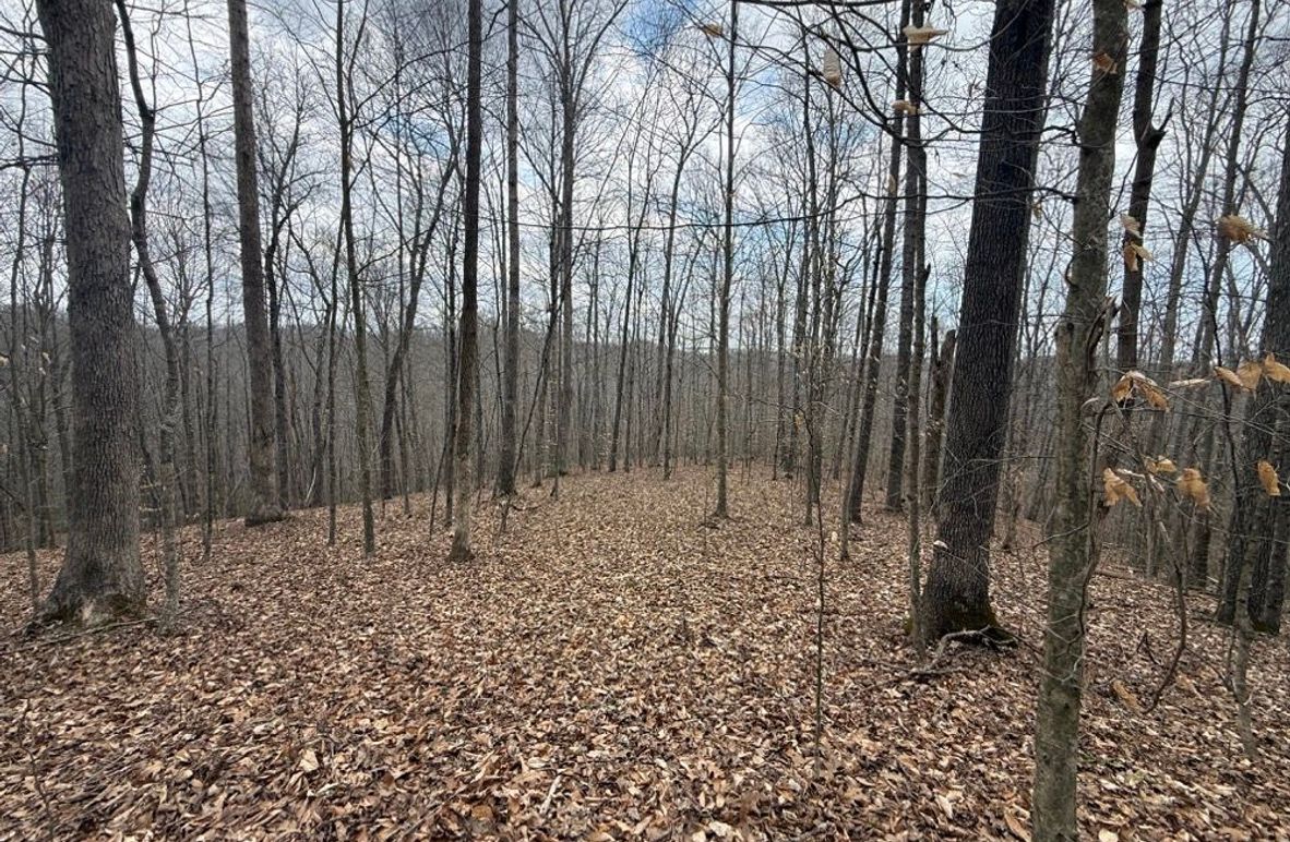 004 view across a north facing point