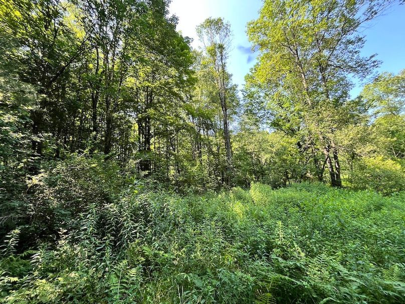 Oswego_24_Frank Photo 40