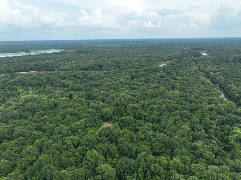 dji_fly_20230727_170234_393_1690507709519_photo 2