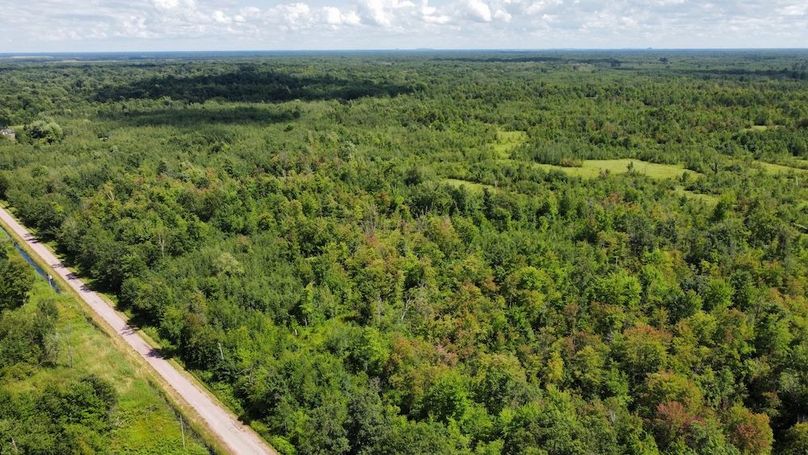 dji_fly_20240708_150344_264_1720541067085_photo_optimized