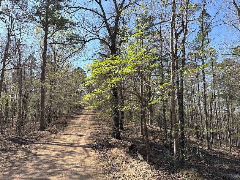 DJI_20260326_110645_699