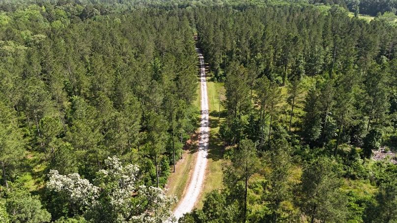 dji_fly_20250526_044500_0018_1748267952082_photo