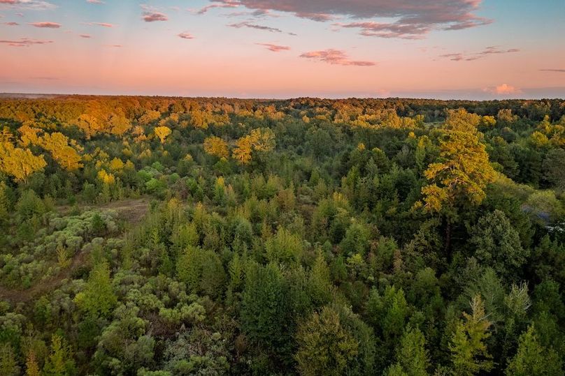 11 DJI_20251007184507_0464_D