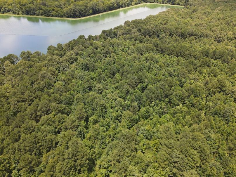DJI_0627