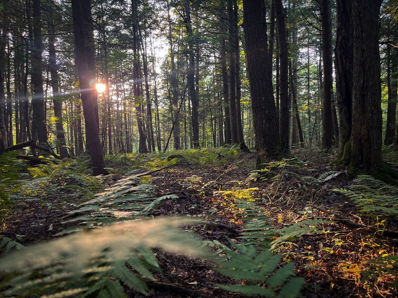 Oswego_30_RouselandInvestments_LLC_Photos_35