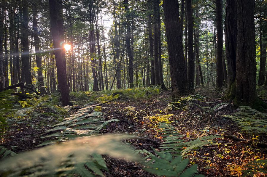 Oswego_30_RouselandInvestments_LLC_Photos_35