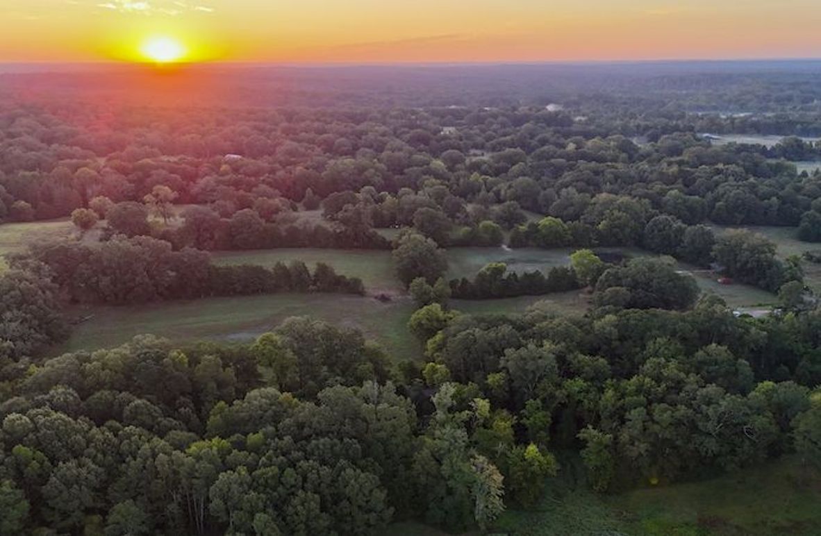 Hinds Co - 30 - Newman-01