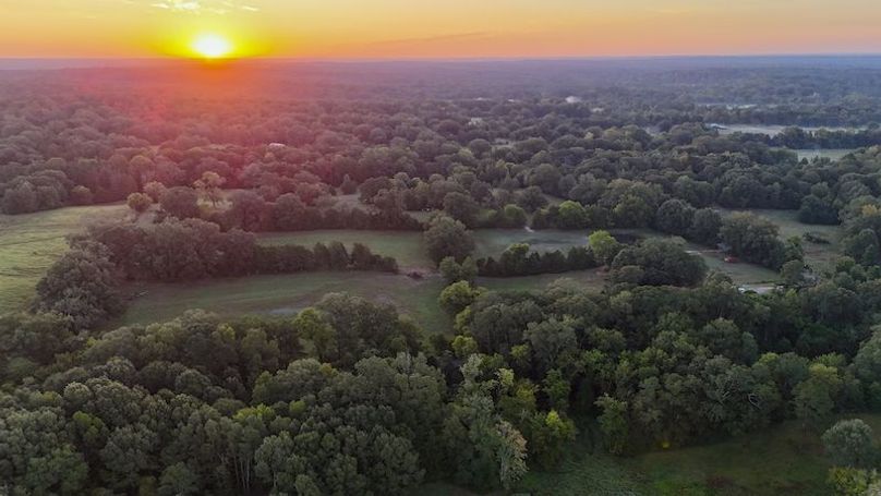 Hinds Co - 30 - Newman-01