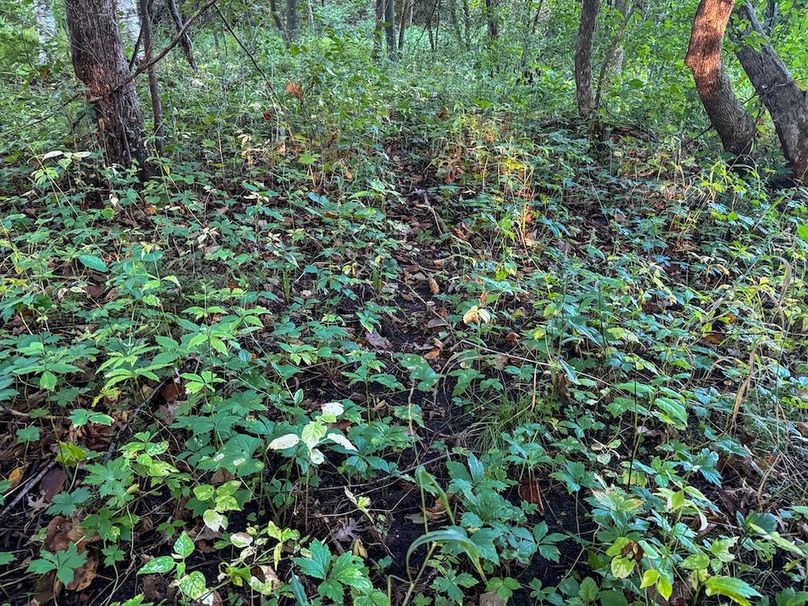 Pantzke Ground Photos-10