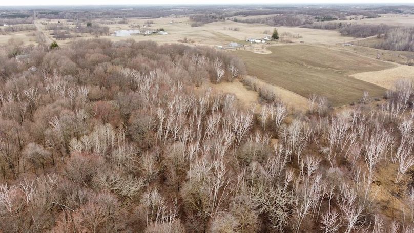 dji_fly_20240410_085846_278_1712757956460_photo_optimized