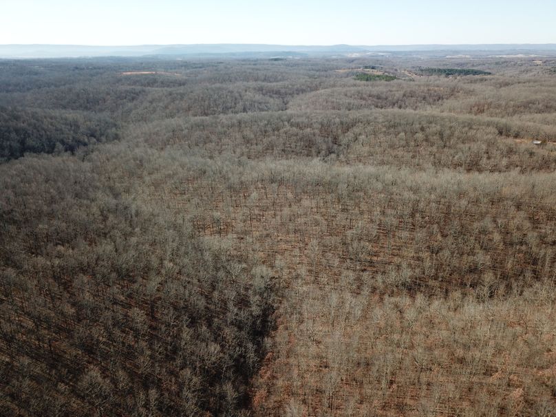 DJI_0104