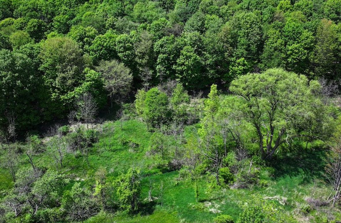 Copy of DJI_20250508022324_0099_D