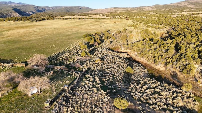 DJI_20250409191843_0057_D