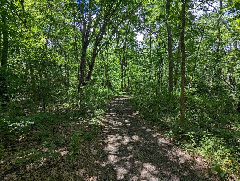 PXL_20240607_184056582