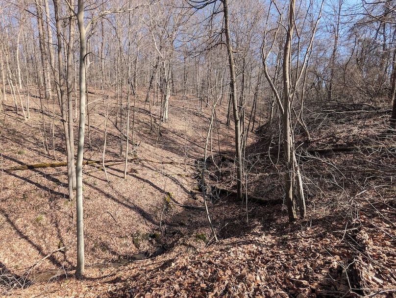 PXL_20240223_164145819