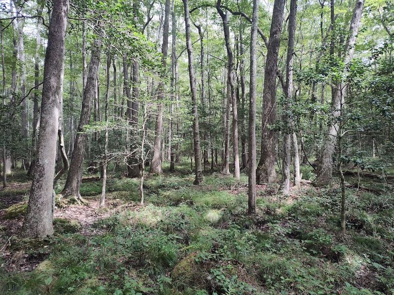 IMG_20250830_133545758