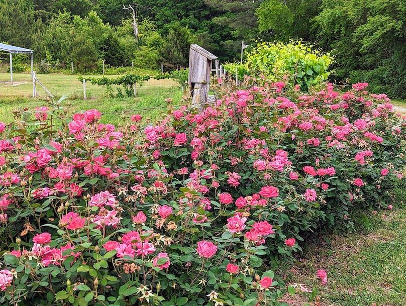 PXL_20230526_202338856