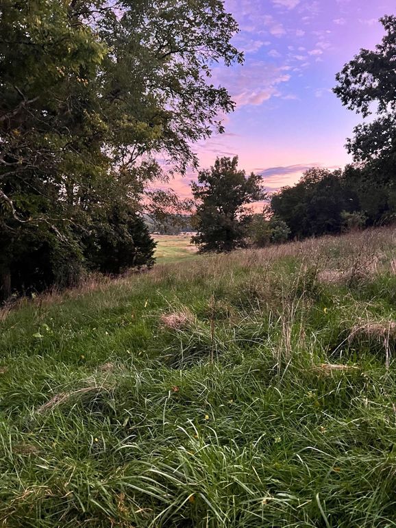 skies and views on North side hill