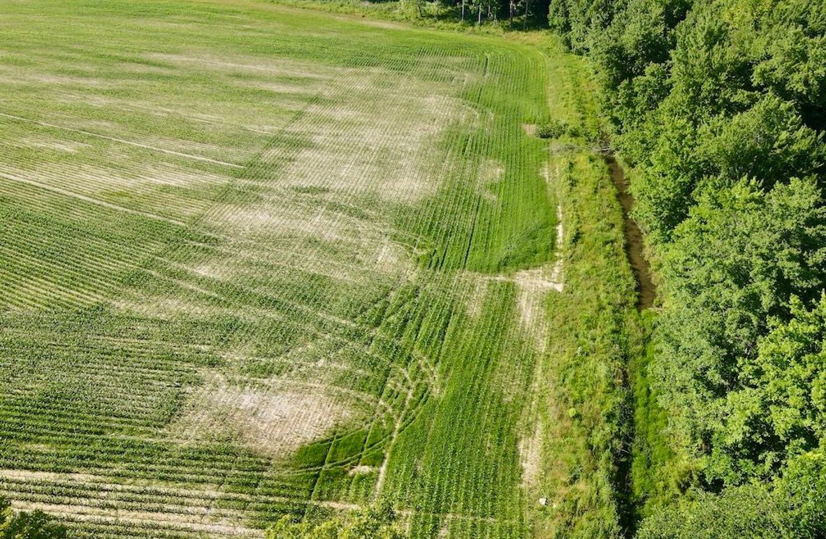 dji_fly_20260604_093518_62_1780580127563_photo