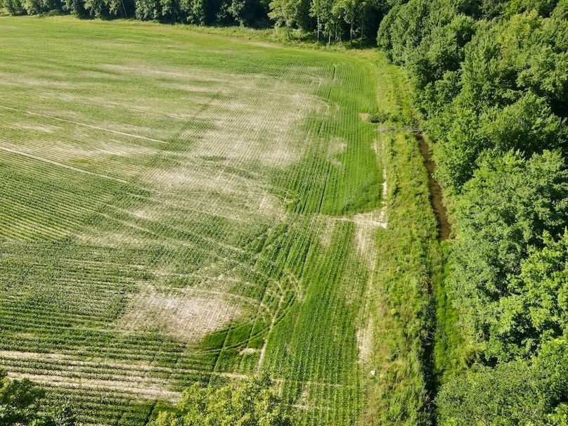 dji_fly_20260604_093518_62_1780580127563_photo